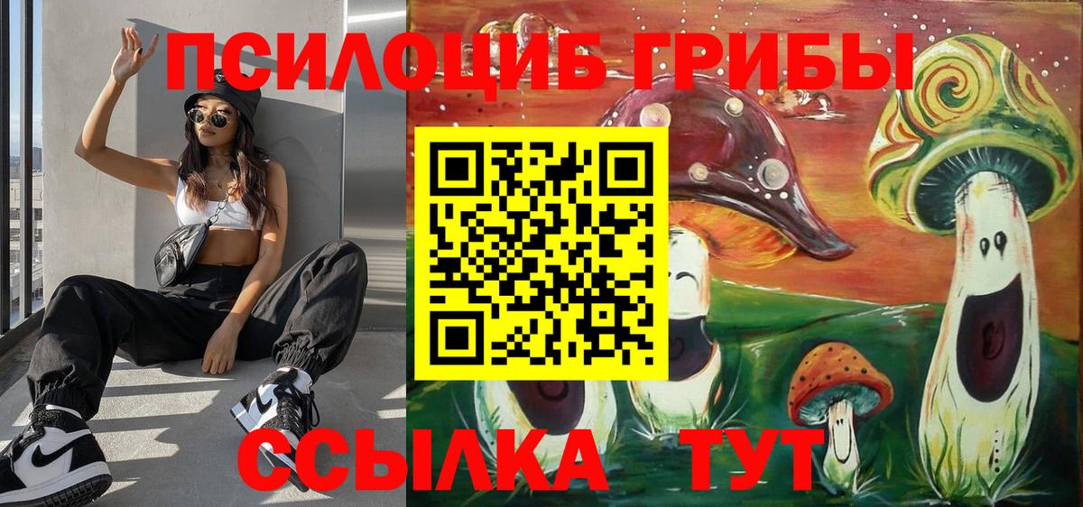 Галлюциногенные грибы Psilocybe  Вход с VPN  Галлюциногенные грибы GOLDEN TEACHER  Великий Новгород 