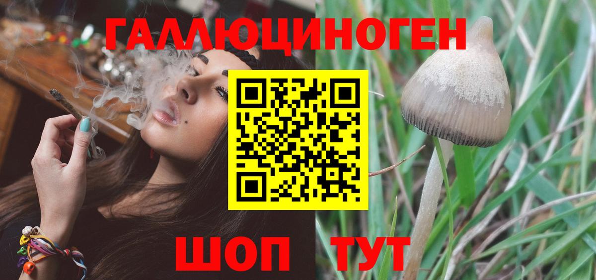 Галлюциногенные грибы Magic Shrooms Великий Новгород